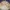 Japanese brand Gorpcore Cottagecore Track jacket Pria tan cream photo 7