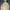 Japanese brand Gorpcore Cottagecore Track jacket Pria tan cream photo 2