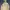 Japanese Brand Gorpcore Cottagecore Track Jacket Pria Tan Cream