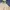Japanese brand Gorpcore Cottagecore Track jacket Pria tan cream photo 5