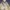 Japanese brand Gorpcore Cottagecore Track jacket Pria tan cream photo 6