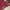 Versace Vintage Avant Garde Jeans Pria burgundy red photo 2