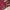 Versace Vintage Avant Garde Jeans Pria Burgundy Red