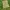 Casual Blouse Wanita green photo 4