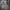 Y2K Skater Hoody Pria gray photo 1