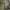 Japanese brand Vintage Casual Casual pants Pria green photo 5