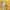 New Look Casual Crop top Wanita yellow photo 4
