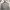 Casual Sweater Wanita gray photo 1