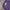Roberta Pollini Vintage Track jacket Pria purple photo 2