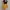 Celana Pendek Mustard Wrap Skort photo 4