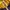 K2 Gorpcore Track jacket Pria purple yellow photo 4