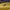 K2 Gorpcore Track jacket Pria purple yellow photo 5
