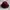 Topi Fedora Kangol Tropic Player Burgundy photo 5