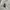 Nike Streetwear Hoody Pria white photo 3