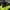 Nike Casual Windbreaker Pria green black photo 7