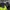 Nike Casual Windbreaker Pria green black photo 4