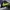 Nike Casual Windbreaker Pria green black photo 3