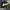 Nike Casual Windbreaker Pria green black photo 1