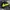 Nike Casual Windbreaker Pria Green Black