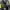 Nike Casual Windbreaker Pria green black photo 8