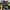 Nike Casual Windbreaker Pria green black photo 5