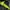 Nike Casual Windbreaker Pria green black photo 2