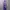 Streetwear Sweatpants & Joggers Pria purple photo 2