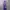 Streetwear Sweatpants & Joggers Pria Purple