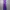 Streetwear Sweatpants & Joggers Pria purple photo 4