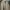 Streetwear Gorpcore Parka Pria tan khaki photo 3