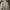 Streetwear Gorpcore Parka Pria tan khaki photo 4