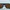 Oakley Clifden Sunglasses Sporty photo 5