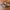 Adidas Casual Sneakers Pria brown photo 1