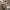 Puma Casual Sneakers Pria tan photo 4