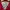 Avirex Vintage Casual Denim jacket Pria red photo 2