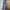 Levi's Vintage Jeans Pria blue photo 2