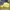 Sportswear Hat Pria yellow photo 3