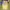 Sportswear Hat Pria yellow photo 4