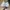 VANS Streetwear Skater Sneakers Pria white photo 4