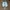 VANS Streetwear Skater Sneakers Pria white photo 2