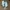 VANS Streetwear Skater Sneakers Pria white photo 1