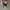 VANS Streetwear Skater Casual shoe Pria red black photo 1