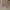 VANS Streetwear Skater Casual shoe Pria white photo 4