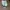VANS Streetwear Skater Casual shoe Pria white photo 1