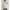 Rubylicious Casual Wanita khaki cream photo 1