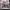 Vintage Indie Pria black photo 1