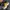 Nike Indie Casual Sneakers Pria multicolor photo 6