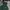 Stussy Streetwear Sportswear Hoody Pria green photo 3