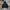 Vintage Y2K Hoody Pria black photo 2