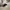 Polo Ralph Lauren Luxury Minimalist Hat Pria white photo 2